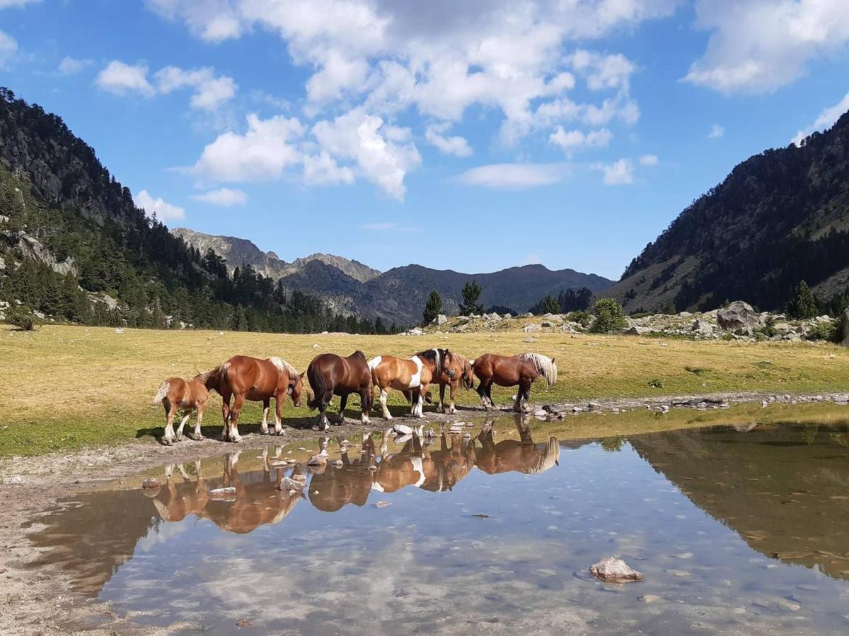 Studio Cauterets, 1 pièce, 2 personnes - FR-1-234-281 Esterno foto